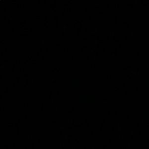 Meet your Posher, Reymundo